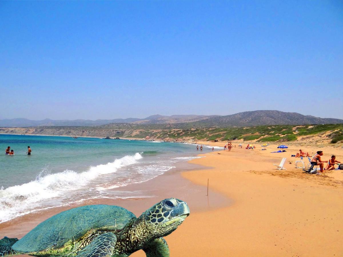 The Holiday Flat, Gateway To Desired Experiences Πέγεια Εξωτερικό φωτογραφία
